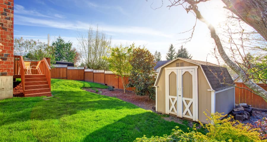 Fenced backyard with storage shed in Tempe